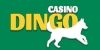 dingo-casino.com