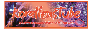 korallenstube.com