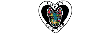 lucys-choice.shop